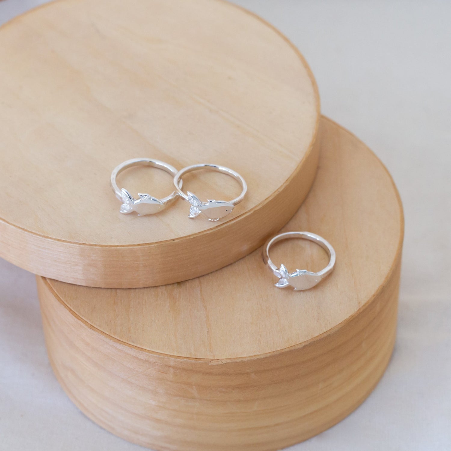 Anillos