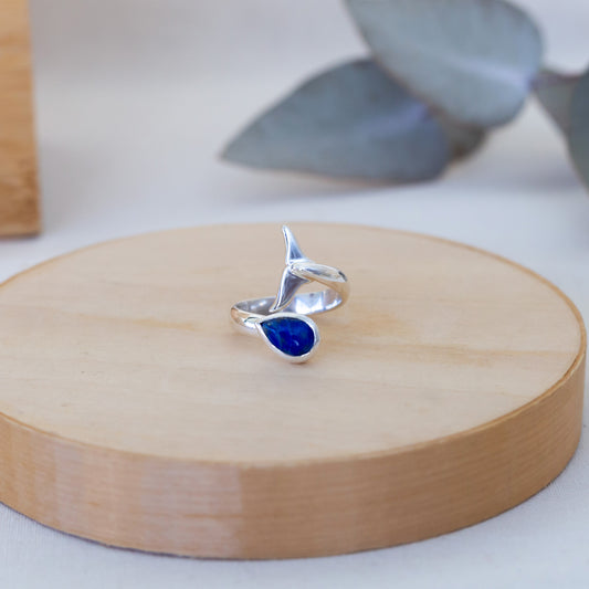 Anillo Aventura
