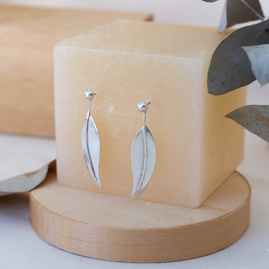 Caravanas Eucalyptus
